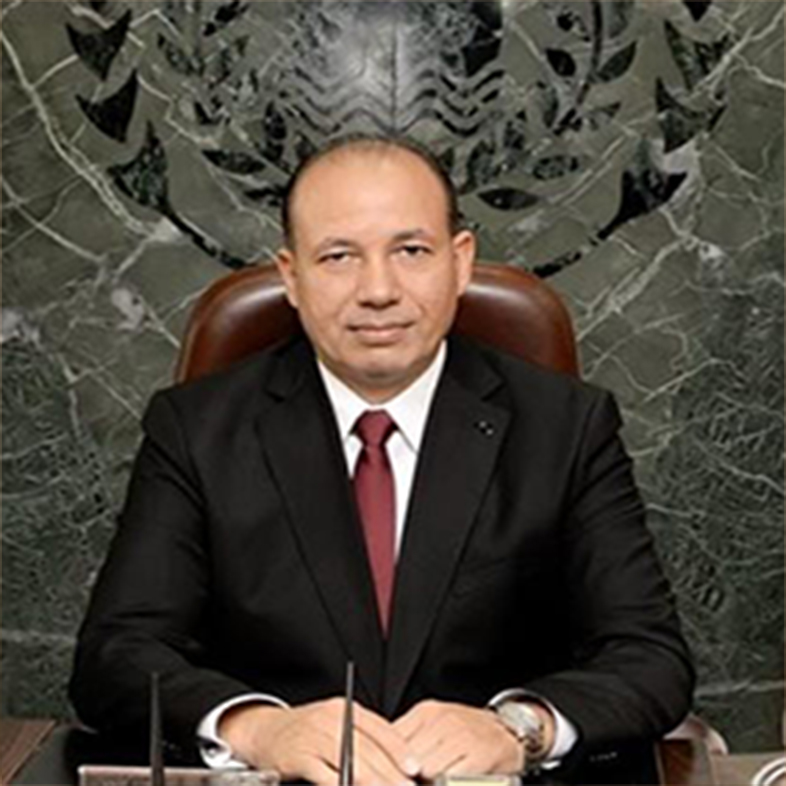 ا.د/ شريف يوسف خاطر